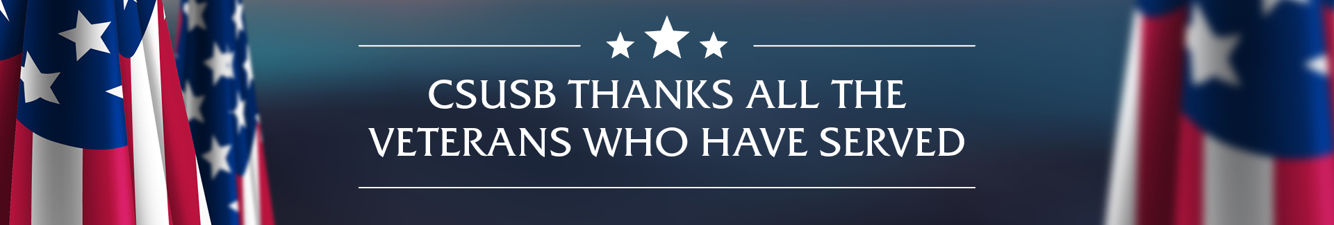 Veterans graphic